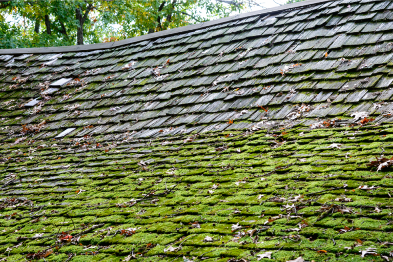 Sagging Roof