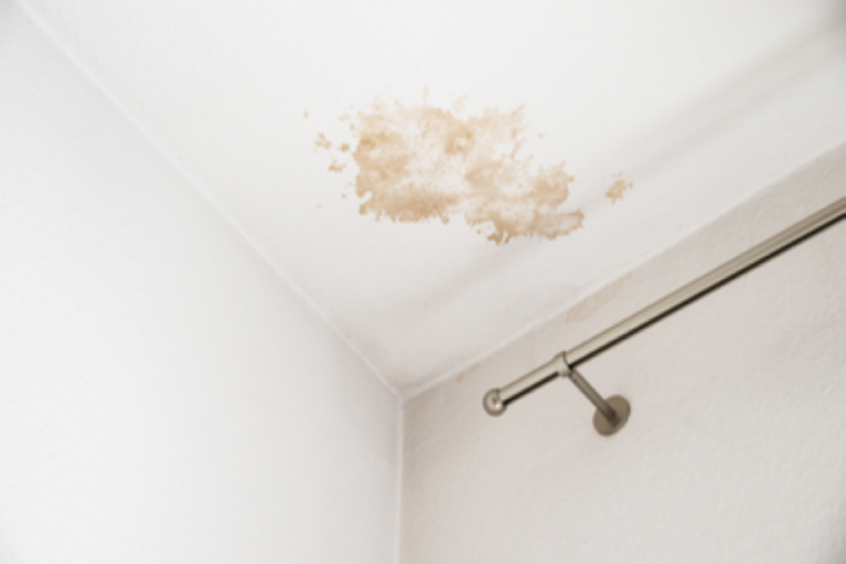 Water Stains on the Ceiling or Walls